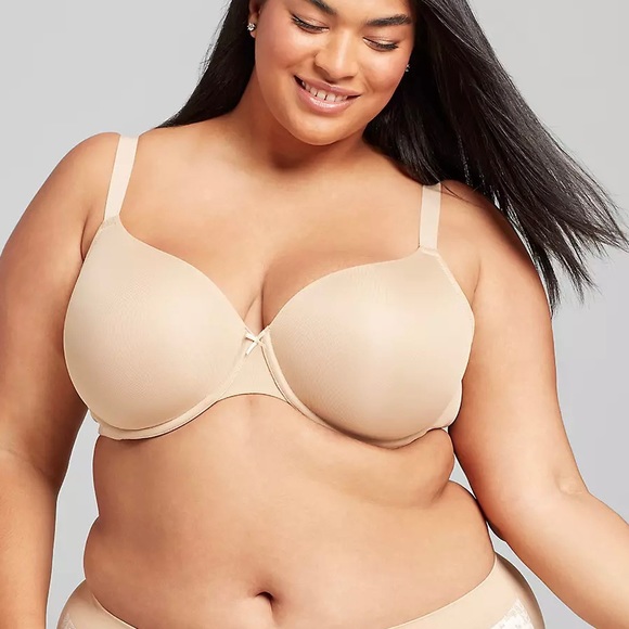 lane bryant t shirt bra